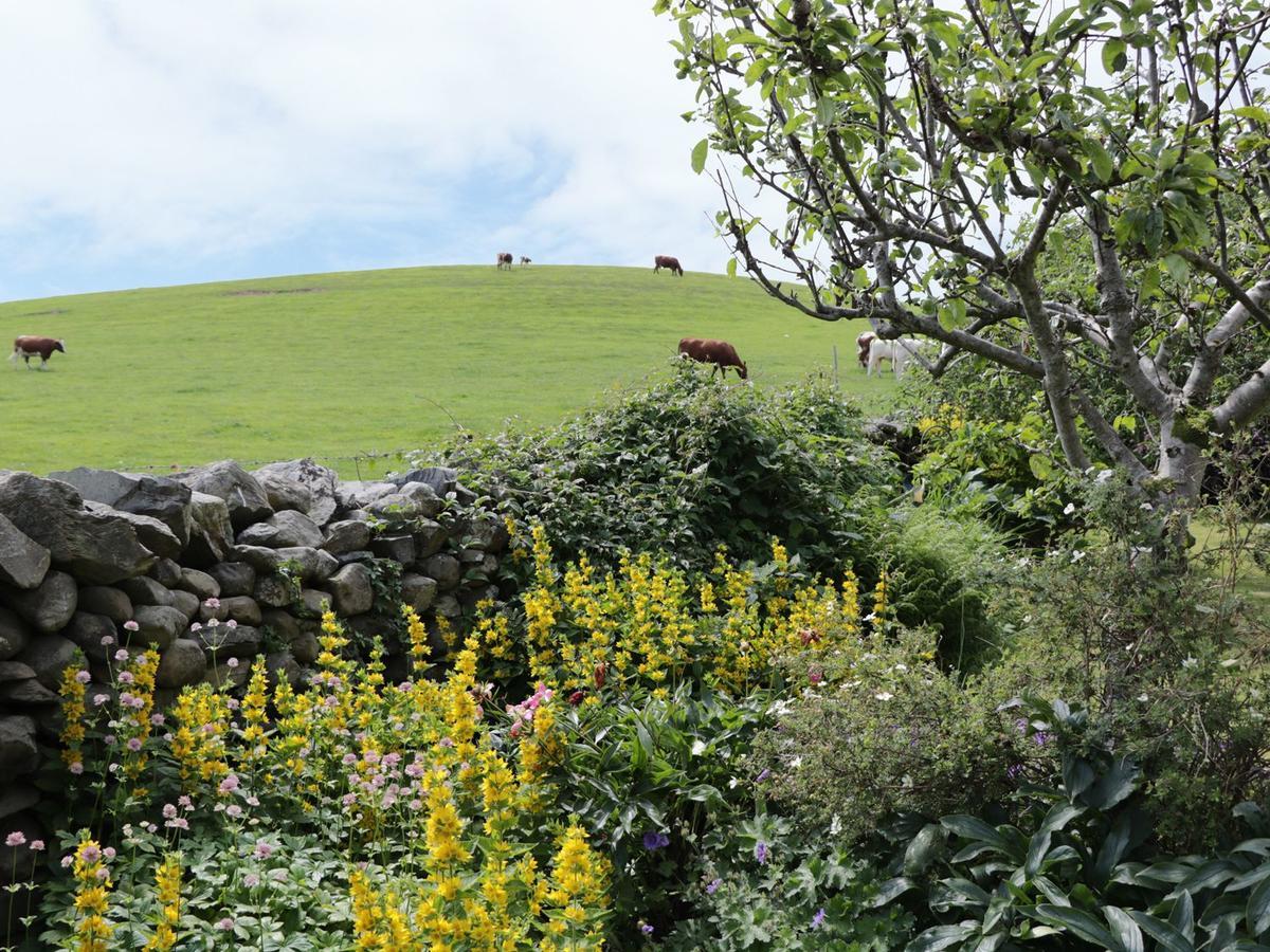 Waingate Cottage Cark エクステリア 写真